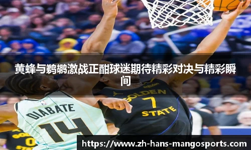 黄蜂与鹈鹕激战正酣球迷期待精彩对决与精彩瞬间